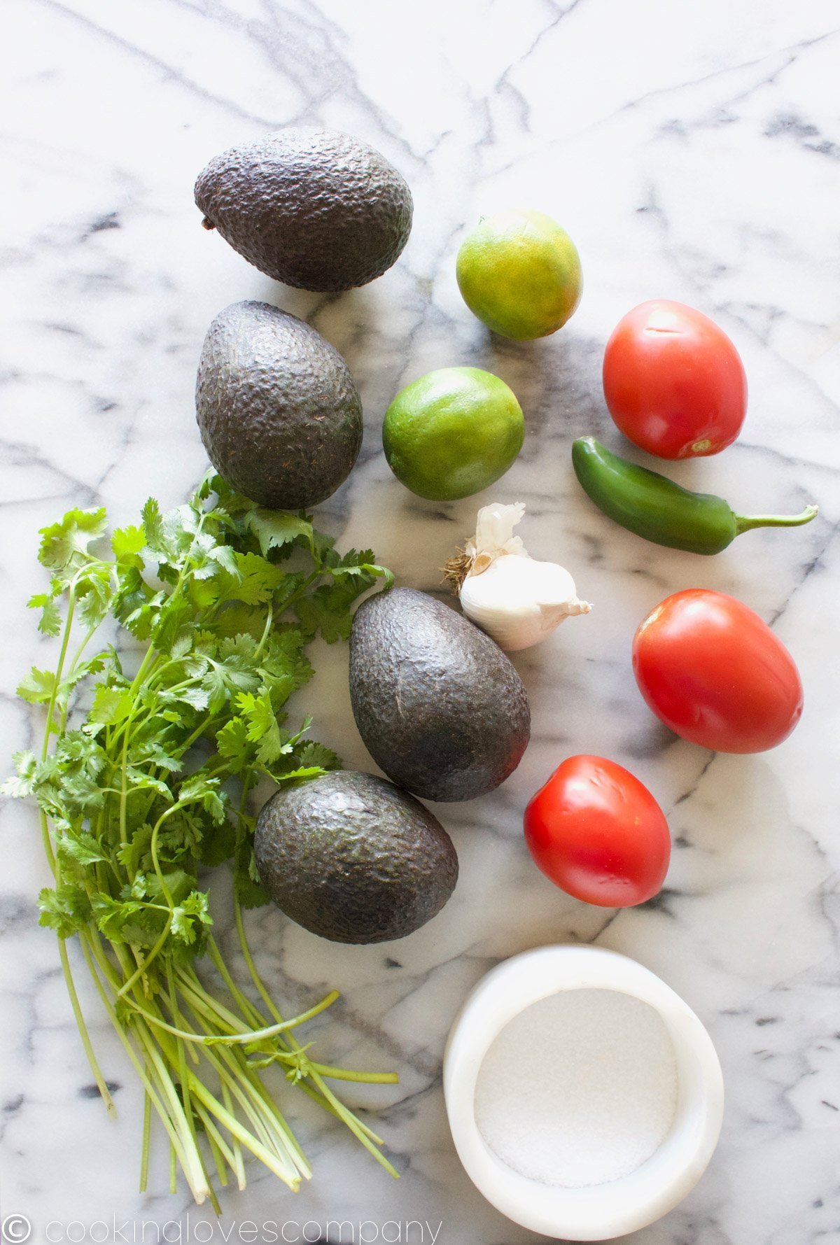 Guacamole ingredients-avocados, tomatoes, limes, jalapeno, garlic, cilantro and salt on a marble countertop 